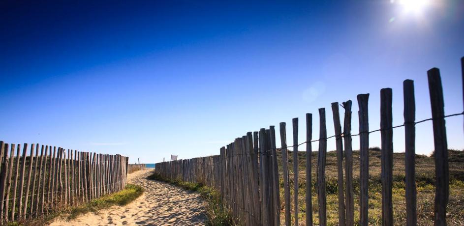 L'Escale Catalane, 50M De La Plage, 36M2, Parking Canet Exterior foto